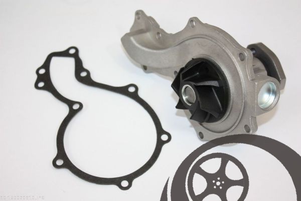 Frankberg PASSAT Water Pump 20220426WP128 Automotive Spare Parts