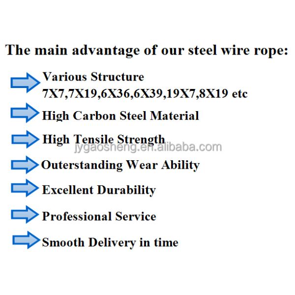 Steel Wire Rope Sling With Snap Hook 5mm for Dog Tie Out Cable