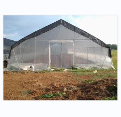 150/200micro Film Covered Tunnel Greenhouse For Hydroponic Tomato Growing