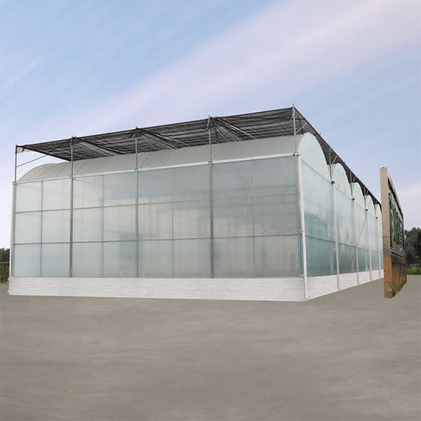Agriculture Hydroponic System High Tunnel Greenhouse Uv Film Multi Span