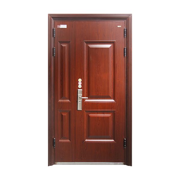 Cold Rolled Steel Sheet Stainless Steel Door Concealed Hinge Modern Exterior Security