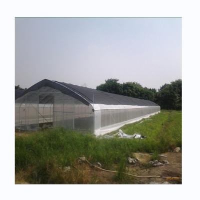 Customized Single Span Greenhouse For Cucumber Cultivation 10-100m Length
