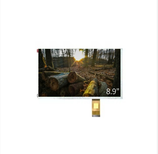 8.9 Inch TFT LCD Touch Panel IPS TFT Display Touchscreen 1920x720 Resolution With LVDS Interface