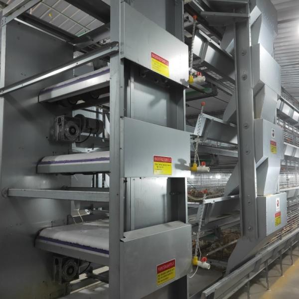 Type pondeuses automatiques de H de ferme de poulet de couche d'oeufs de cages de batterie de volaille
