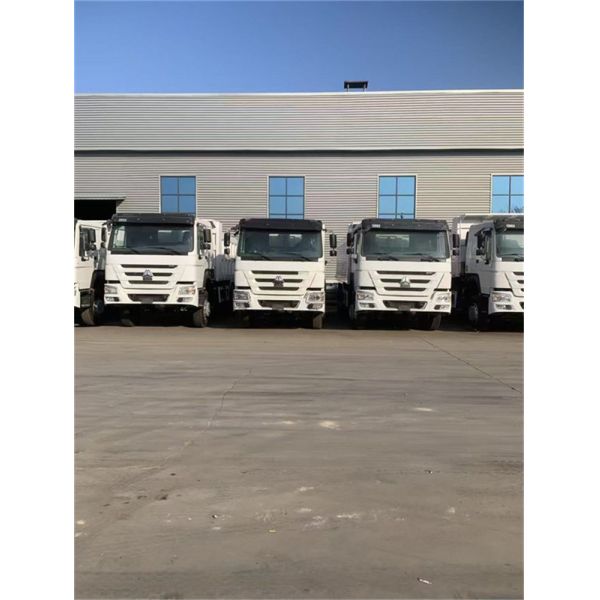 Used Heavy Duty Howo 6x4 Dump Truck 12.25T Various Sizes 2022 Year