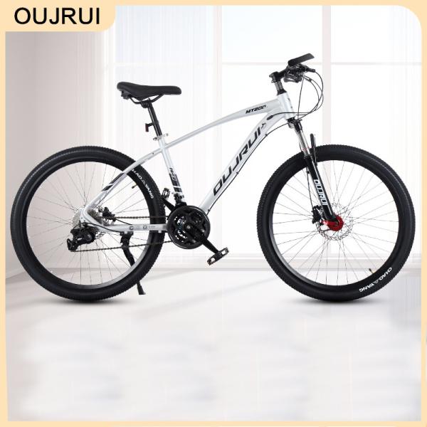 Wear Resistance Mens Fat Tyre Mountain Bike Male Adult MTB Bike 26inch