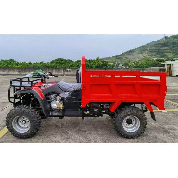 Gasoline ATV Cargo Tricycle Three Wheeler 4*4 drive 300cc Water Cooled Engine With Big Booster For All Terrain Transport Purpose