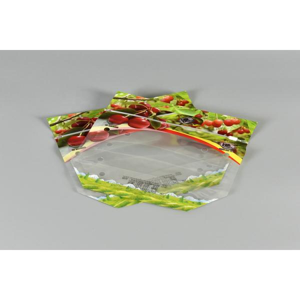 Watermelon Fresh Fruit Bags Reusable Stand Up Pouch Zipper Pe Plastic Food Grade