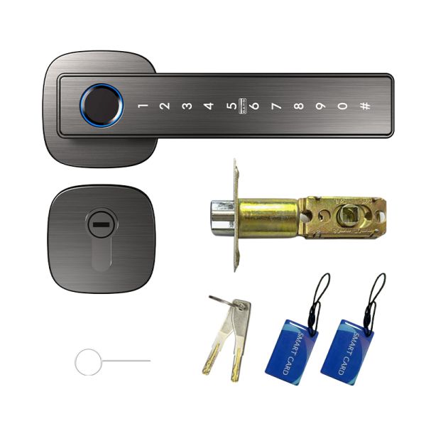 Tuya Smart Lock Fingerprint Password Key Durable Aluminum Alloy Construction Auto Lock Easy Installation Door Lock