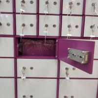 Compartiment de coffre-fort d'OEM Private Bank avec la porte enduite de la poudre solides solubles