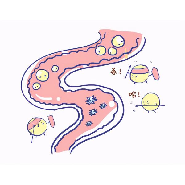 Antioxidant Plant Essential Oils For Animal Feed FAMI-QS Certified