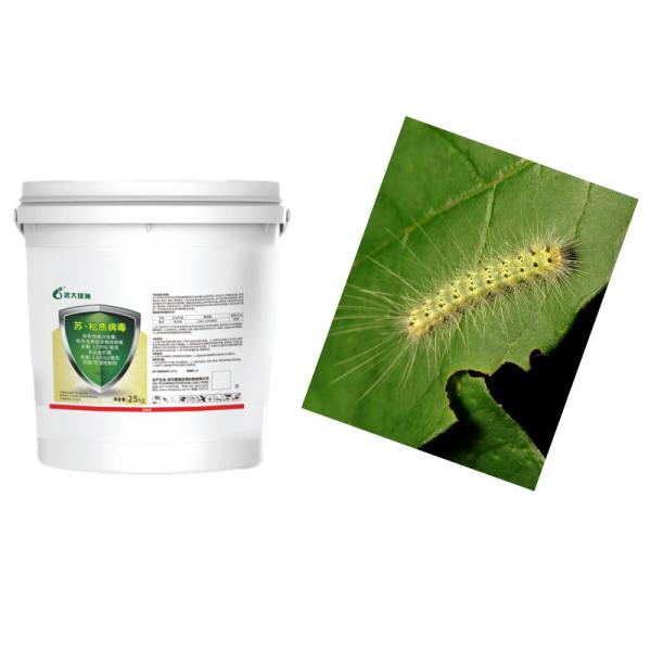 ODM ECO Friendly Biological Pesticide for Caterpillars