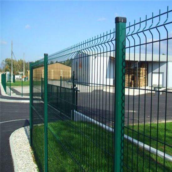 Anping TLWY High Quality Chinese Factory 3D Garden Fence Panel Curvy Welded Wire Mesh Fence with peach posts