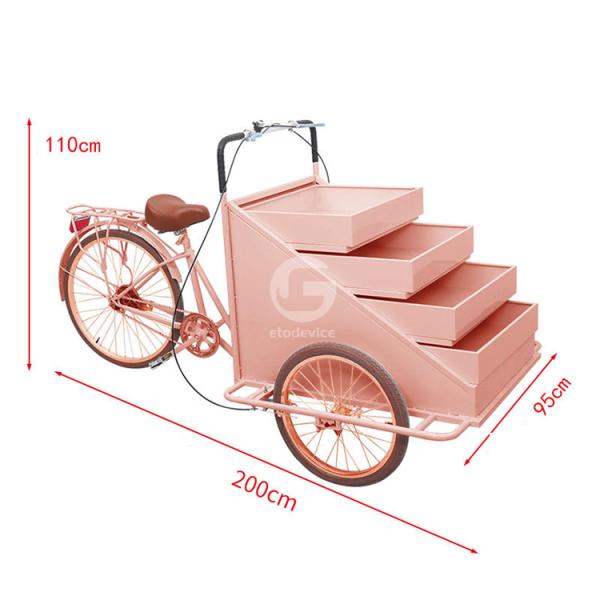 120KG Tricycle Food Cart for Fruit Vending Inside Equipments As Your Requirement