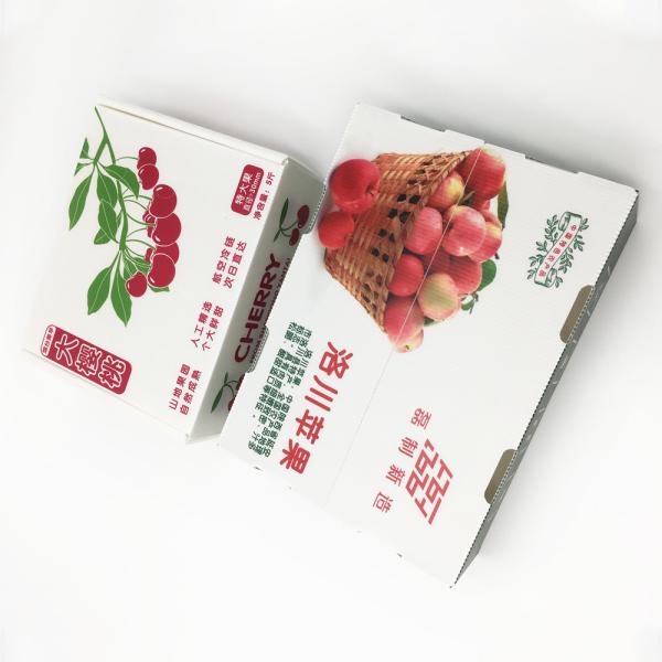 Moisture Resistance  Frozen Food Carton Corrugated PP Box HD Printing Honeycomb