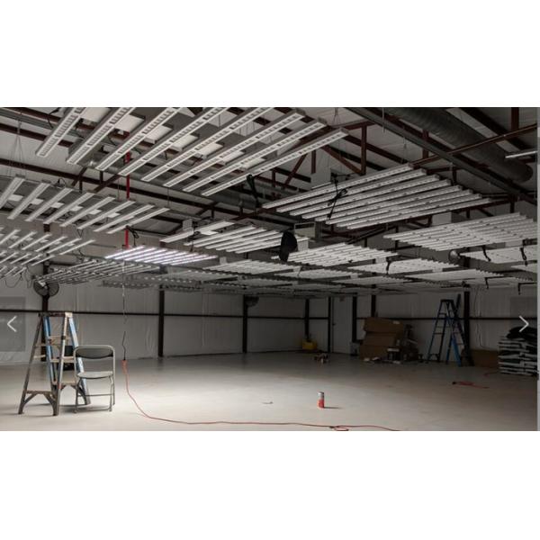 Luces 500W, LED Herb Grow Light Vegetables del jardín interior del poder más elevado LED