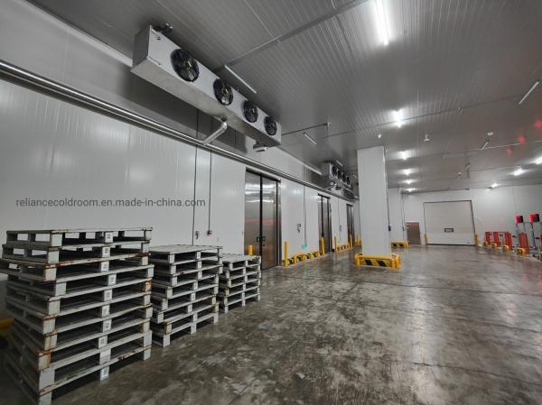 Personnalisation Refroidisseur à pied réfrigérateur de stockage à froid congélateur avec réfrigérant au freon