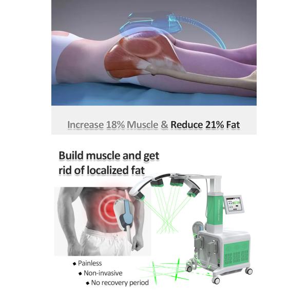 Machine de sculpture du corps de 800W-3500W 10D Laser HIEMT Machine de sculpture du corps pour le resserrement / l' amincissement