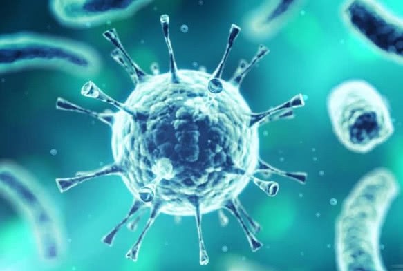 40 Реагент для обнаружения ИГГ и ИГМ в сыворотке/образе плазмы