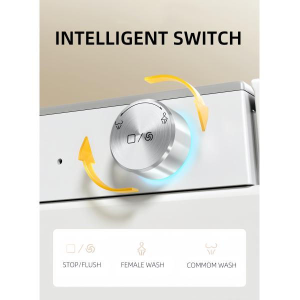 Rectangular Smart Intelligent Toilet Ceramic Night Light Multi Washes Auto Flush