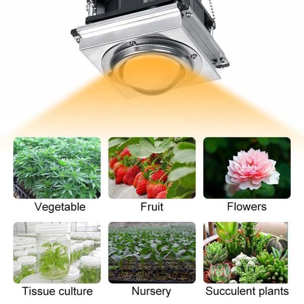 УДАРА спектра 50W парника завод цветка полного Hydroponic