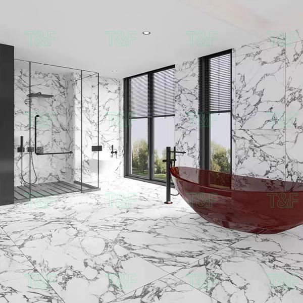стена Bathroom дома плитки пола фарфора мрамора 60x120cm белые Matt современные и плитка пола