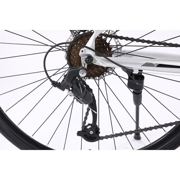 Customization Road Bike with Aluminum Alloy Frame and Disc Brake System 700C Mountainbike