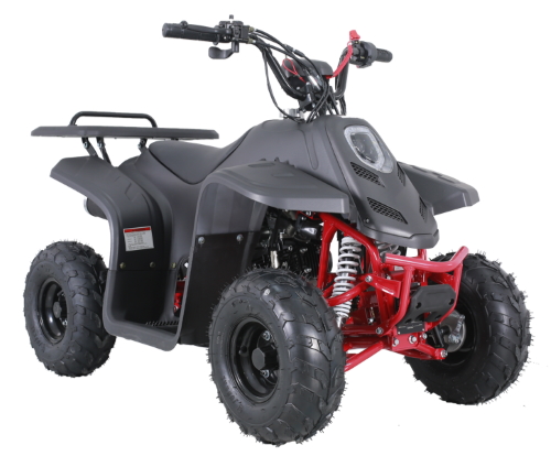 110cc резвятся молодость участвуя в гонке ATV привода с цепной передачей 4 Уилеров