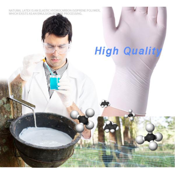 Food Grade Disposable Latex Gloves Dust Free For Electronics Factory