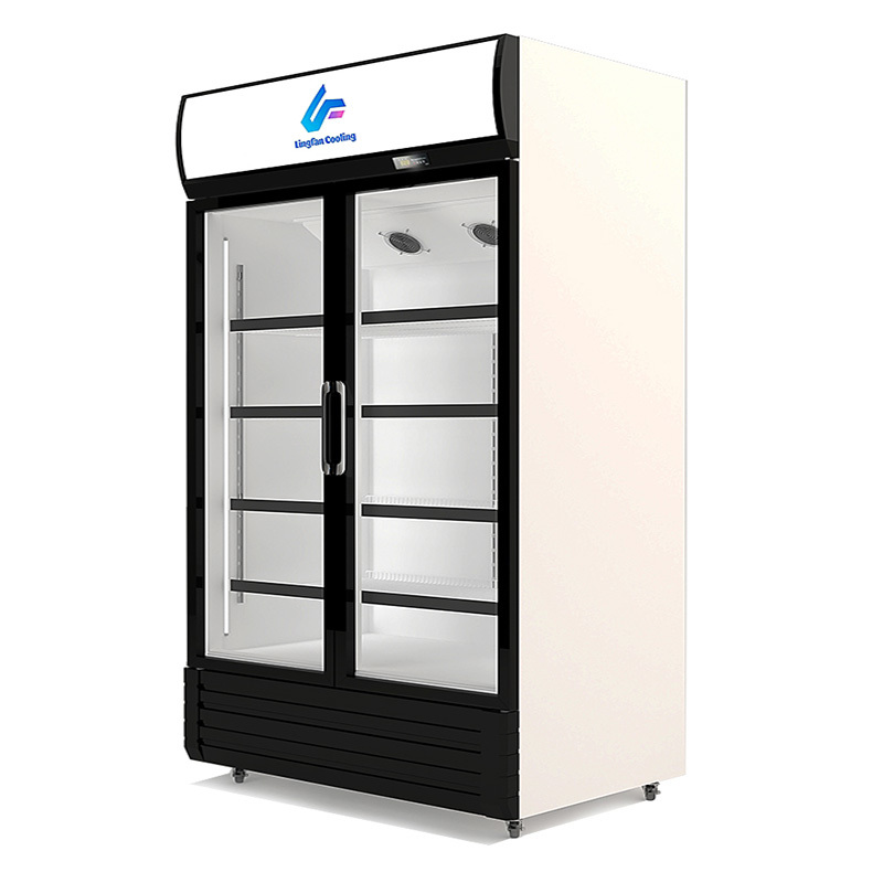 650L Capacity Commercial Freezer with Static Cooling System and Swing Door Design for Optimal Product Visibility