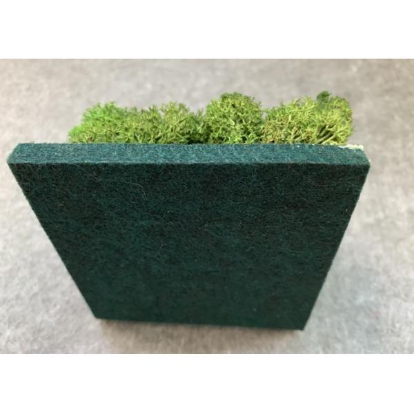 Звукоизоляции акустических панелей зеленого растения легкое декоративной облегченное для того чтобы запылиться