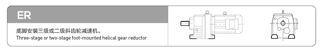 ER series inline helical gear motor