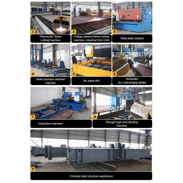 Q235 Q355B Стальной Животноводный приют Птицеводческая ферма Дизайн планировки Близкий дом Куриная ферма