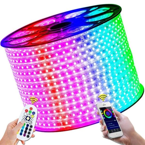240V/230V/110V/220V RGB 5050 LED Strip Lights for Landscape with Remote IP65 Plastic Body