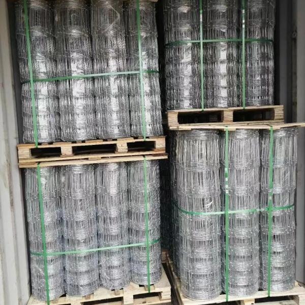 Galvanized Fixed Knot Fence for Cattle/Sheep/Deer Farming Easy to Install and Maintain
