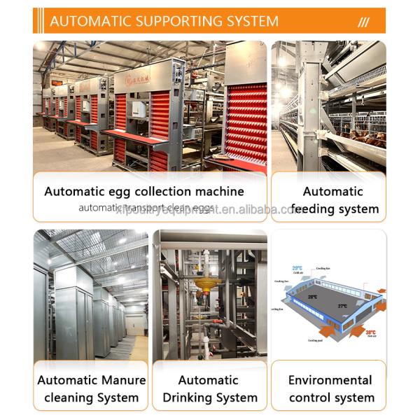 Large Metal Hen Layer House Battery Cage Run Cheap Chicken Coop for Poultry