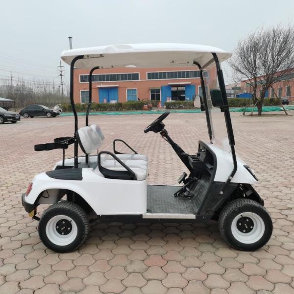Qingdao China factory supply mini electric golf carts cheap price 60V battery golf buggy with 2 seats