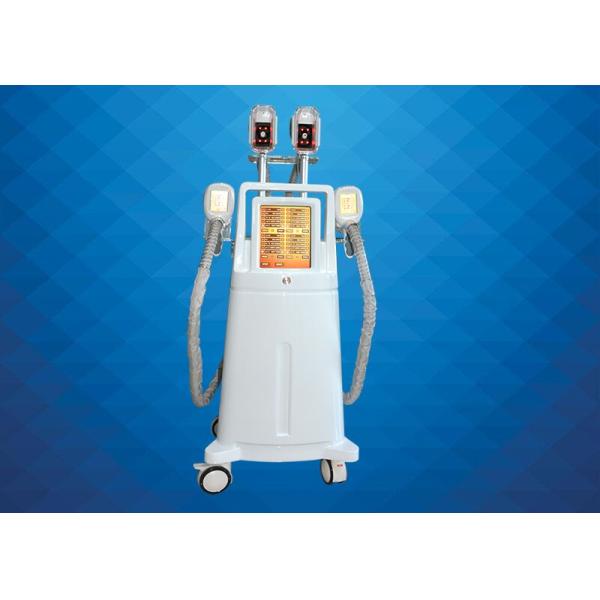 Fat Freezon Cryolipolysis Slimming Machine For Weight Loss , 4 Treatment Heads