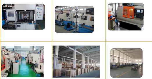 16603-66010 замыкающая плита автомобильной крышки шестерни времени зеваки Assy шкива подшипников колеса под задняя