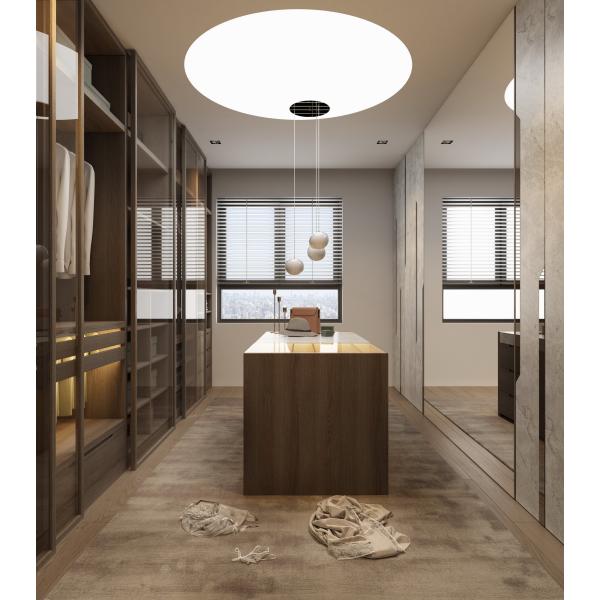 Шкаф спальни шкафа SGS современный сползая современный