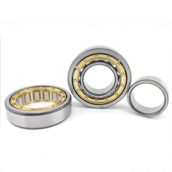 Cylindrical Roller Excavator Swing Bearing NUP305 NUP306 NUP307 NUP308 NUP309