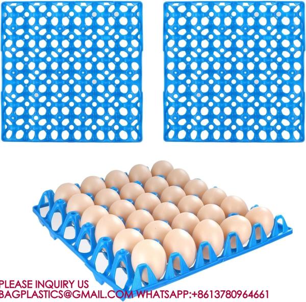 Plastic Tray And Egg Box Plastic Egg Tray For 30 Holes Egg Plastic Tray Plastic Egg Racks