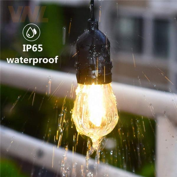 2700K-6500K 1w Led Filament Bulb LED Decorative Lights For Garden