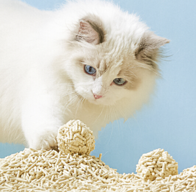 DDCaroma Apple Top-Notch Cat Litter Flavour Enhancer Powder Without Mildew