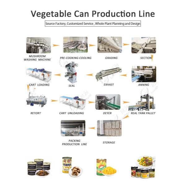Automatic Canned cucumber Vegetable Cans  production line Equipment Customized
