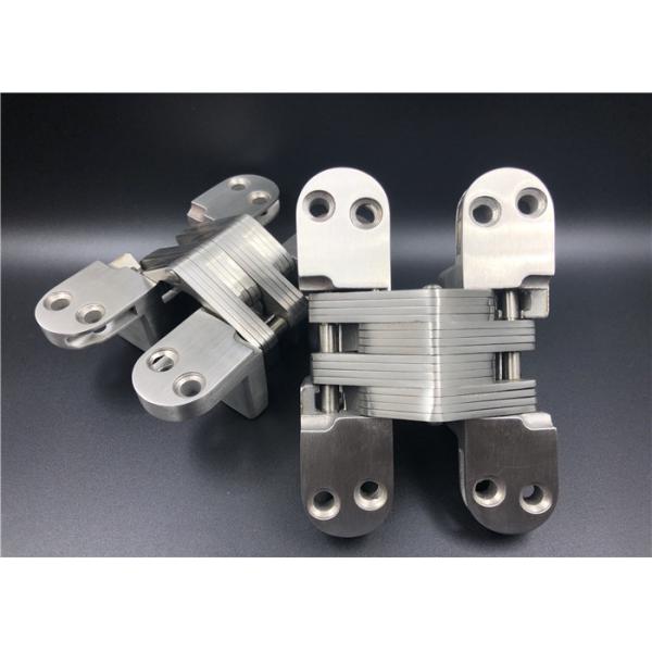 Анти- въедливый шарнир нержавеющей стали СОСС невидимый для двери виллы входной двери