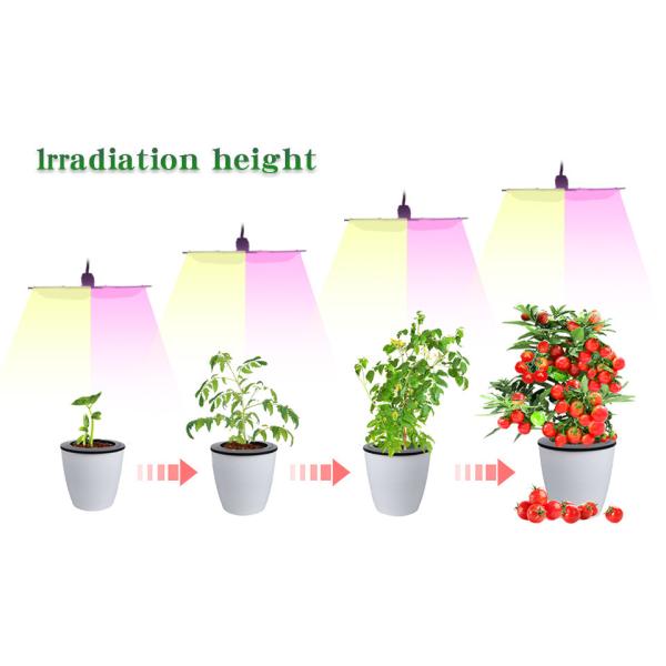 Energy Saving Full Spectrum Led Grow Lights Board 50W Voltage 110V
