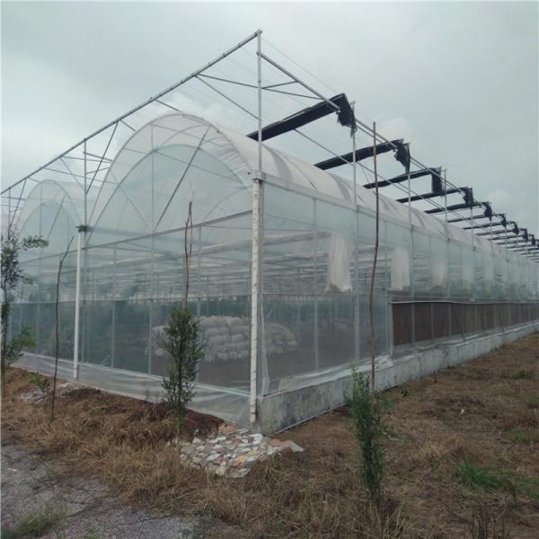 Double Arch Beam Sunlight Greenhouse for Heavy Snow Area Featuring Snow Vibrator