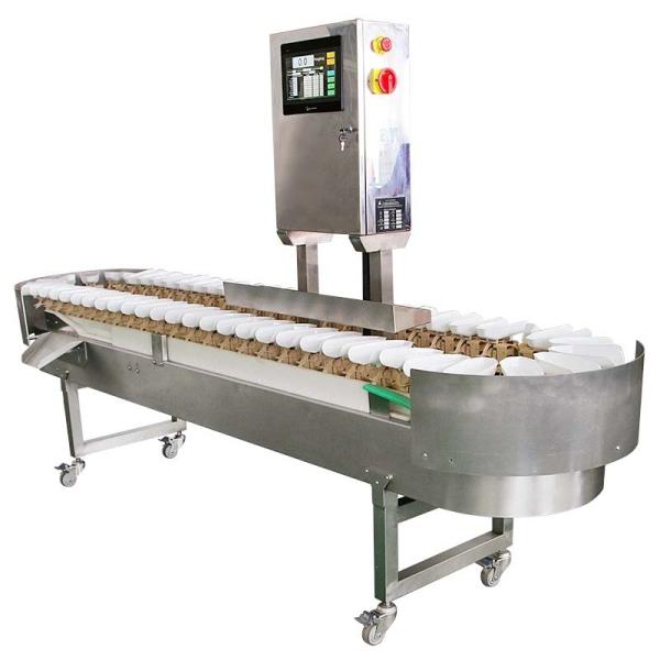 Carton Box Stainless Steel Conveyor Weight Checker Machine