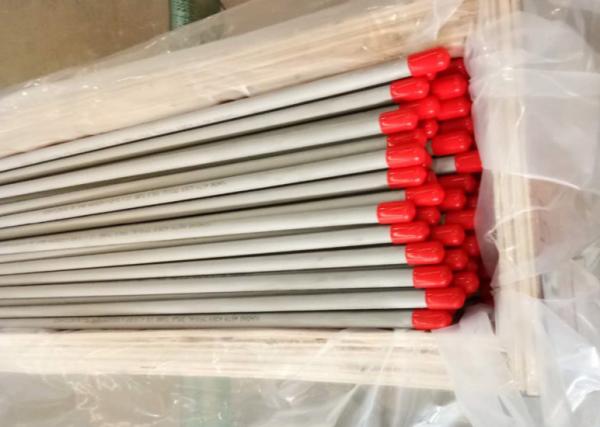 Tamanho conservado e recozido do tubo sem emenda de aço inoxidável de ASTM A269/ASME SA269 TP316L: 10*0.65*6000mm